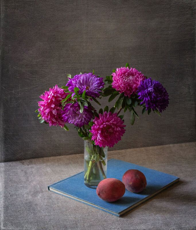 Астры фото превью