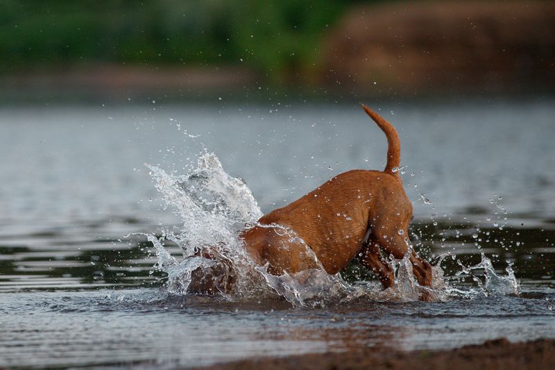 фото превью