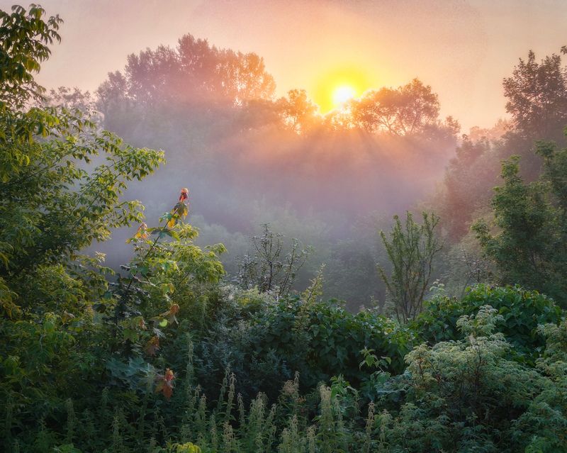фото превью