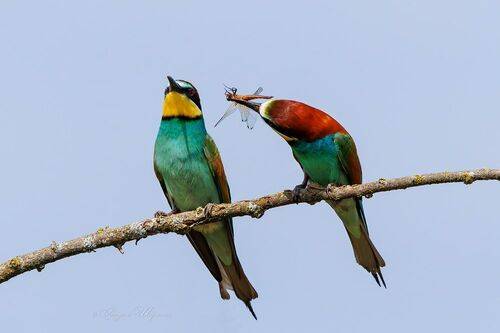 Неподкупные отношения