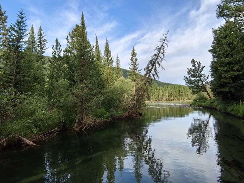 На реке Бара фото превью