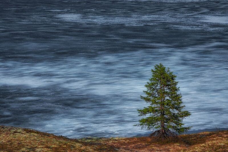 Озеро_Момонтай, пейзажи_Колымы, Магаданская_ область, июньский_лёд, вечер, закат Июньский лёд фото превью