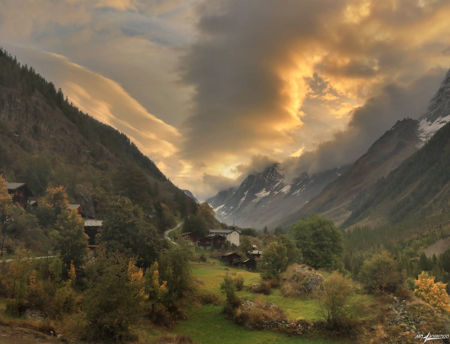 swiss, Матвеев Николай