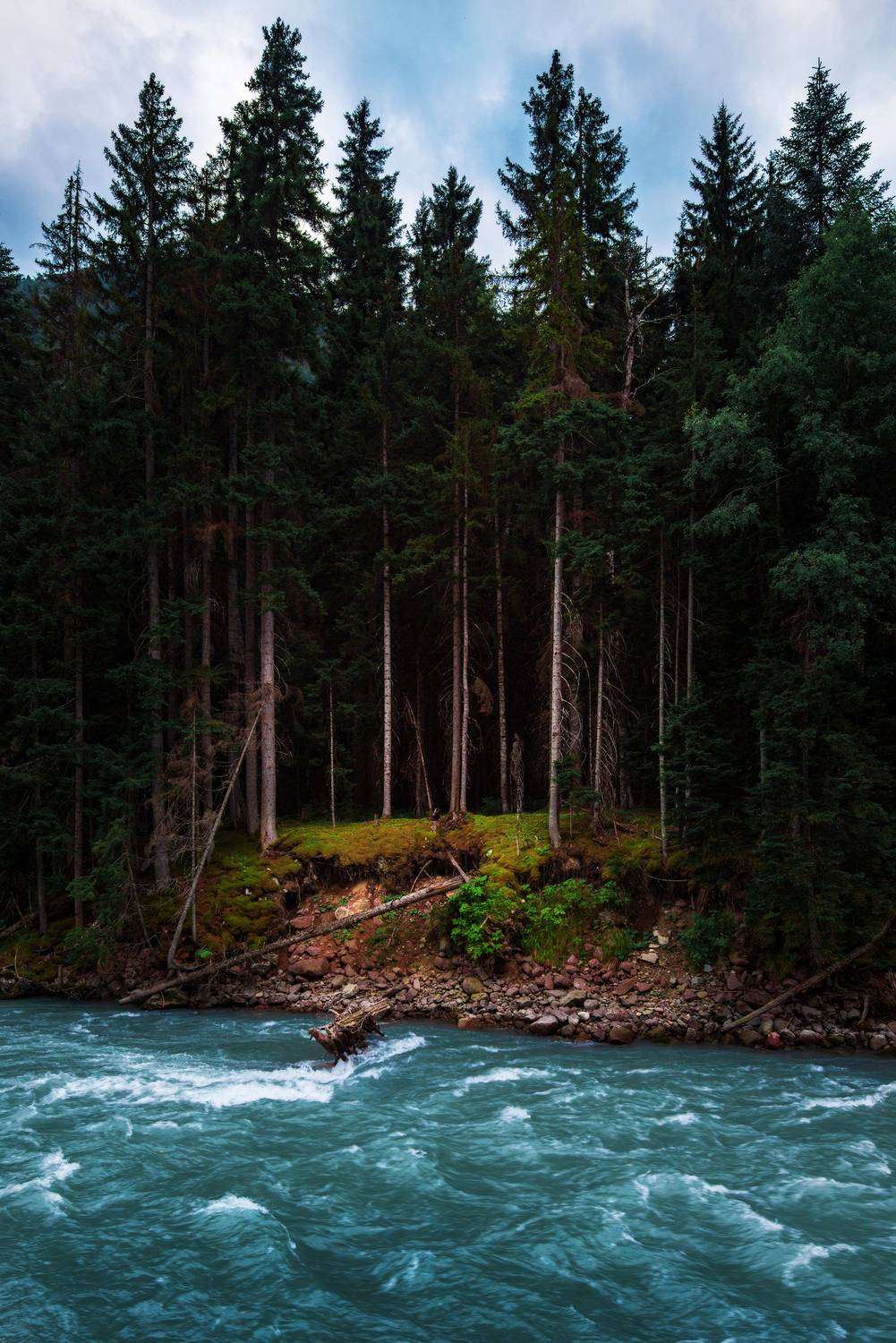 , Павел Абакумов