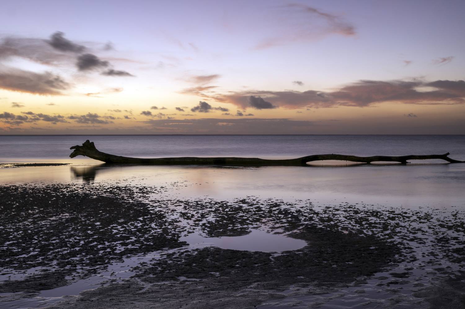 , Игорь Юркин