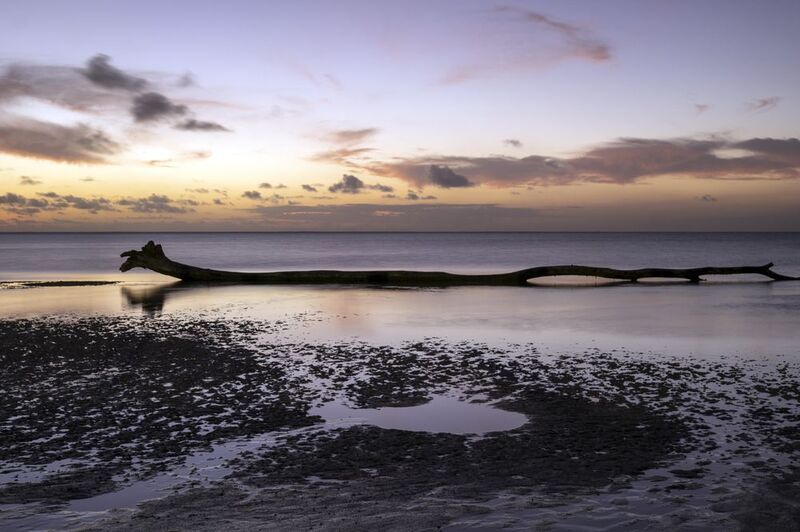 Лохнесское чудовище :) фото превью