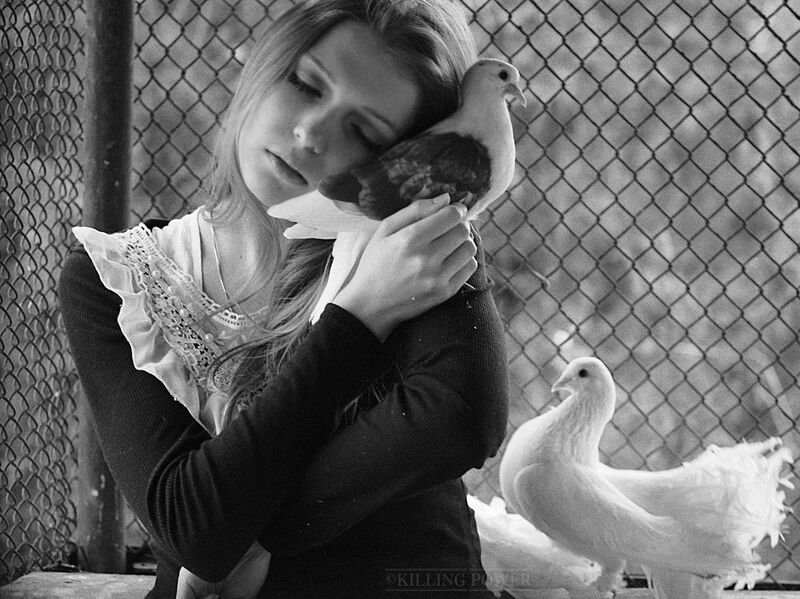 фото превью