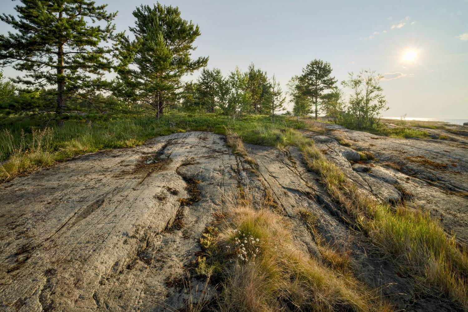 лето беломорье вечер скала камень, Igor Shishpanov