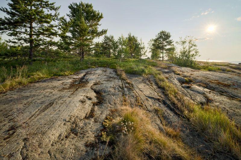 лето беломорье вечер скала камень И на скале растут деревья фото превью