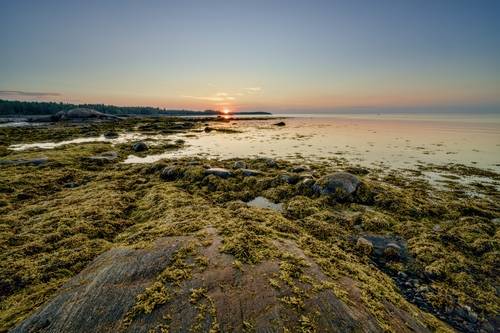 Утро на отливе