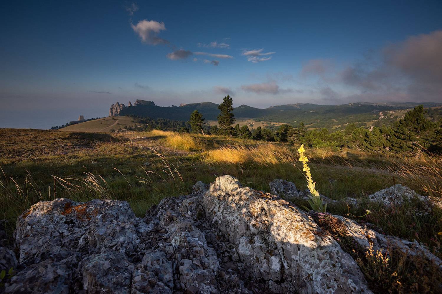 , Андрей Гусаченко
