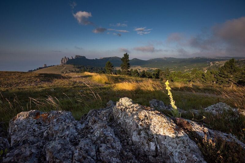 Только цвет фото превью