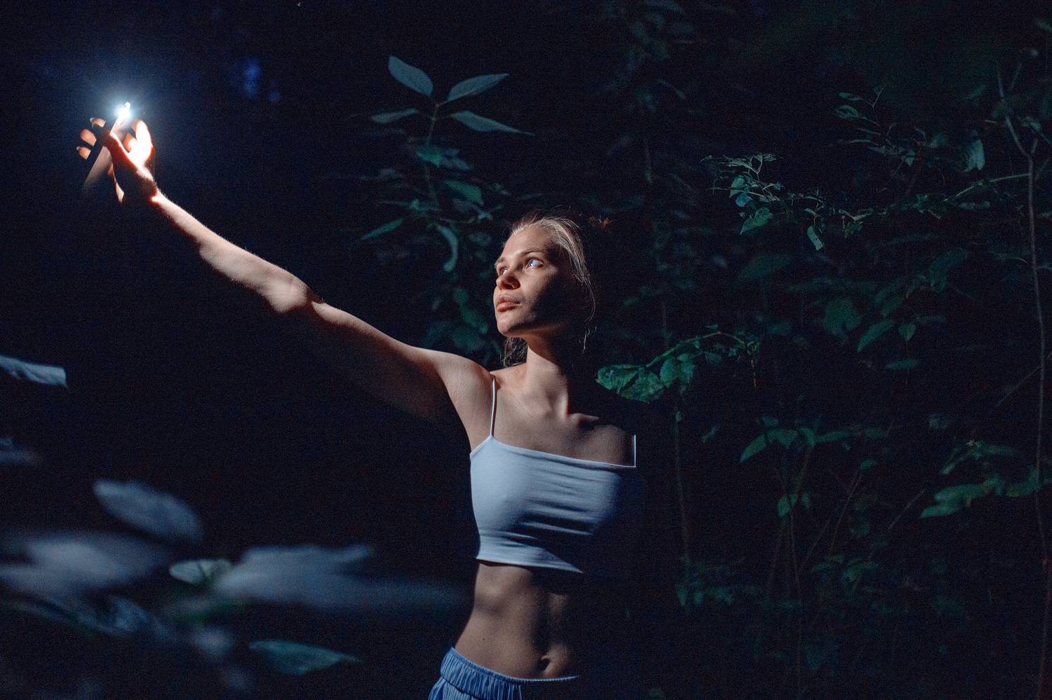 , Плеханов Дмитрий