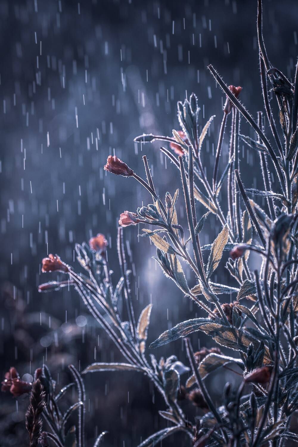 , Сергей Белокуров