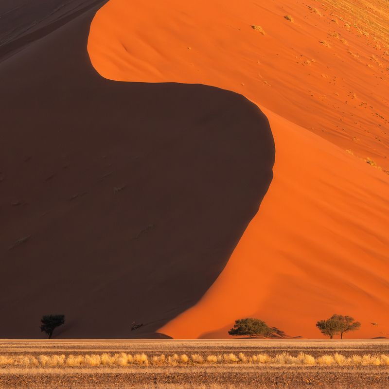 worldphototravels, mikereyfman, wildlifephotography, naturephotography, photoworkshop, photosafari, sossusvlei, namibia The Shape of Light: First Touch to Final Flame фото превью