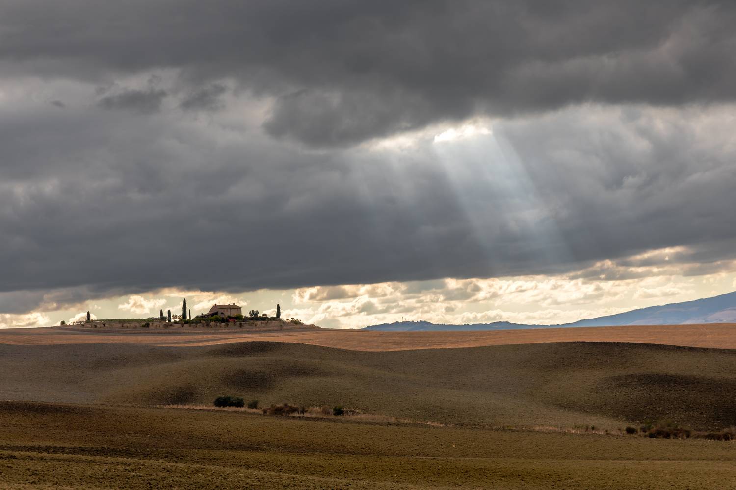 , Евгения Чех