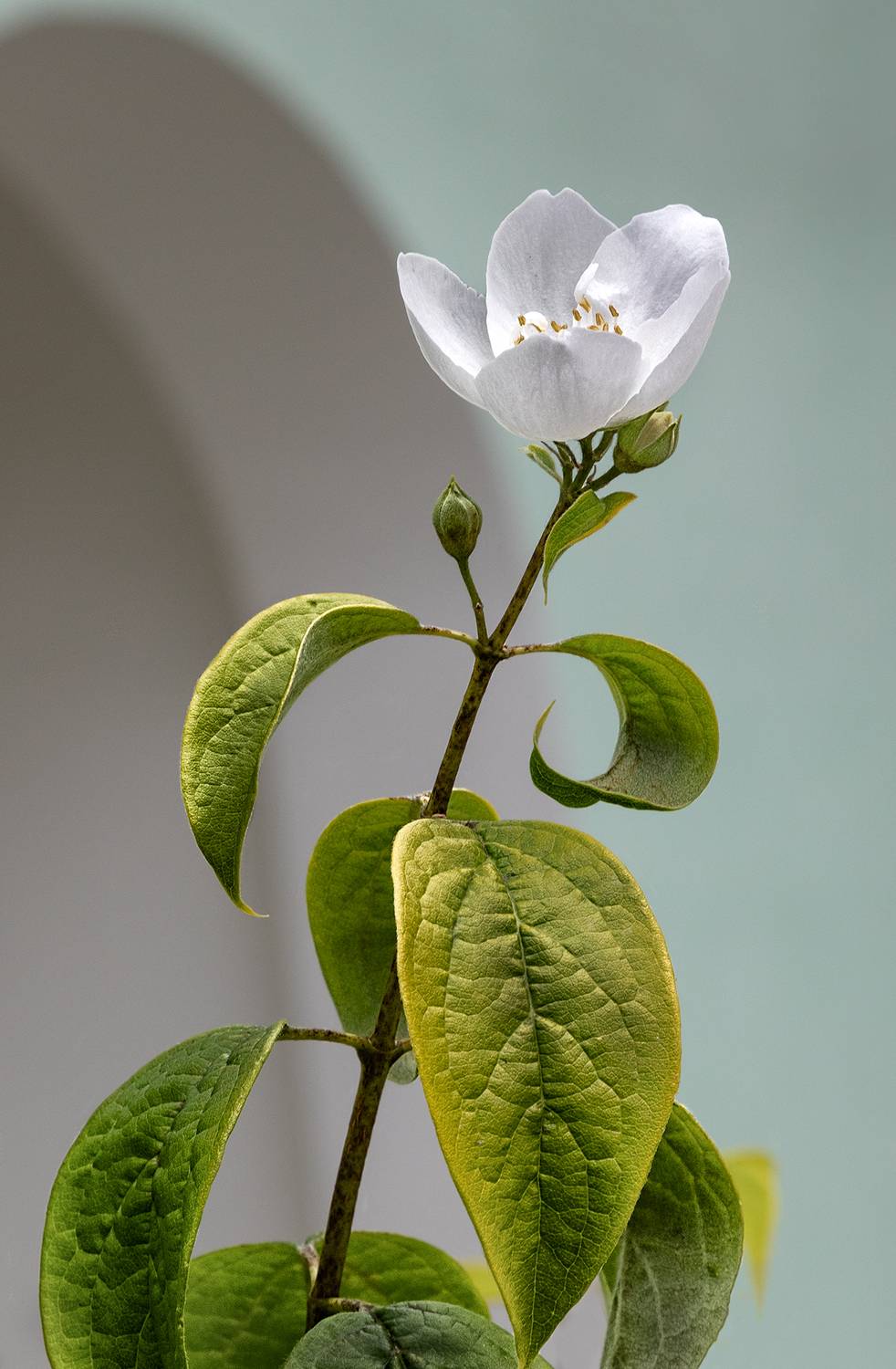 , Ушаков Валерий