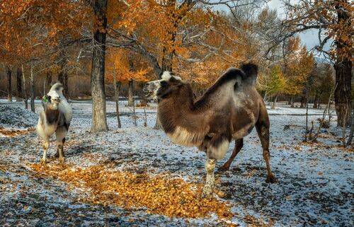 Вкусно - и  точка !