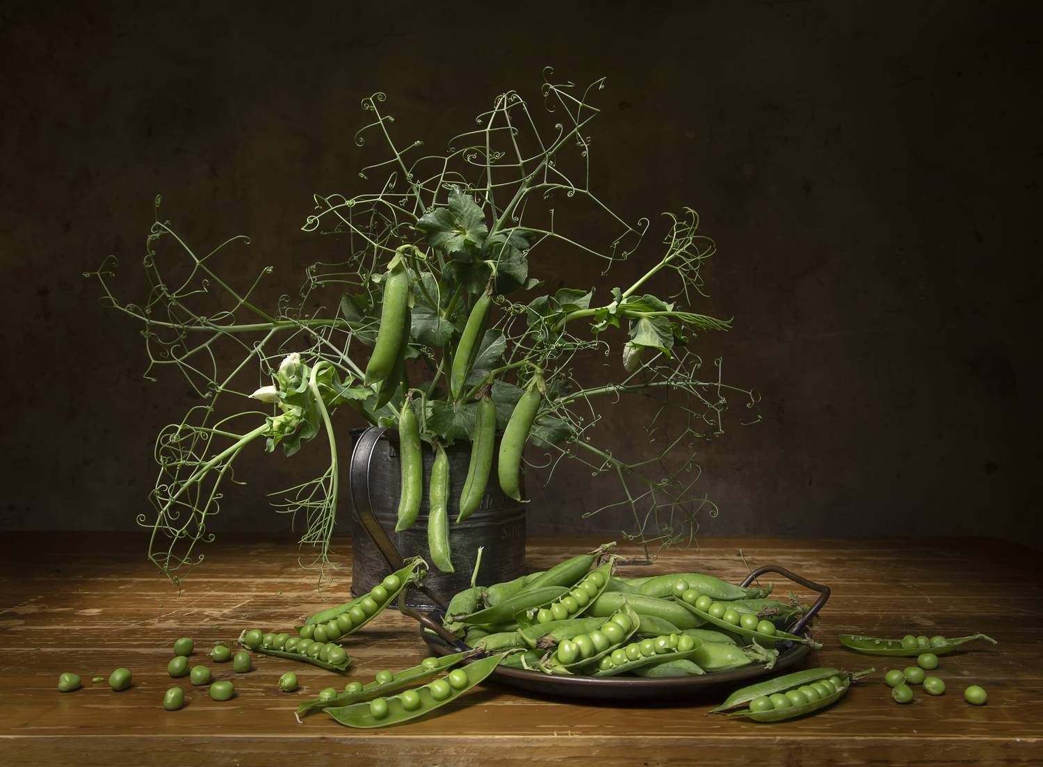 натюрморт., горошек, Татьяна Феденкова