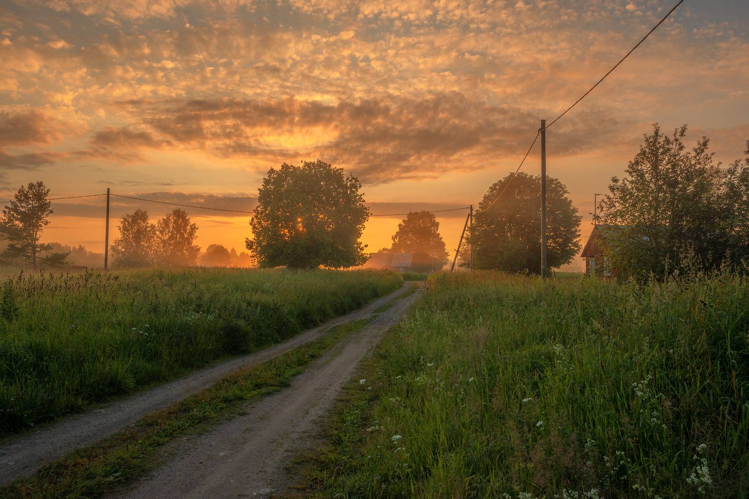 , Роман Горячий