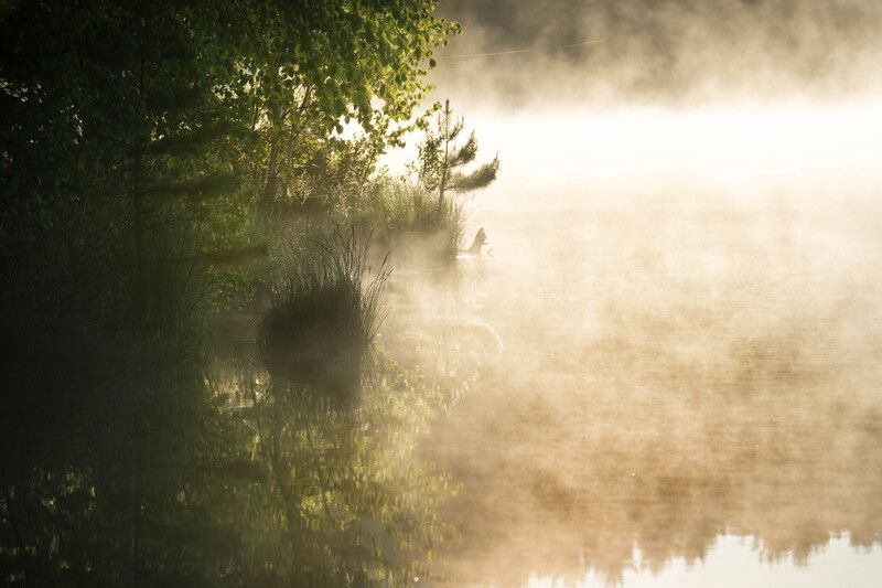 Утренняя магия... Morning magic... фото превью