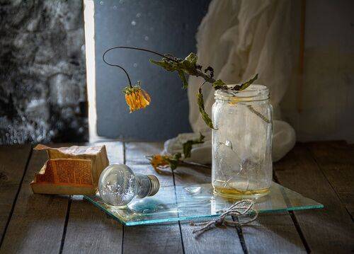 Отблиставшие