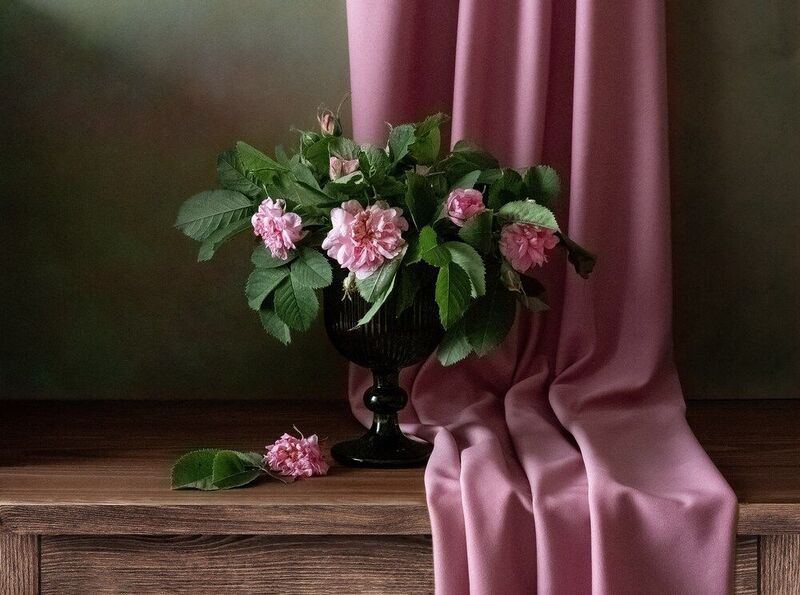 С шиповником фото превью