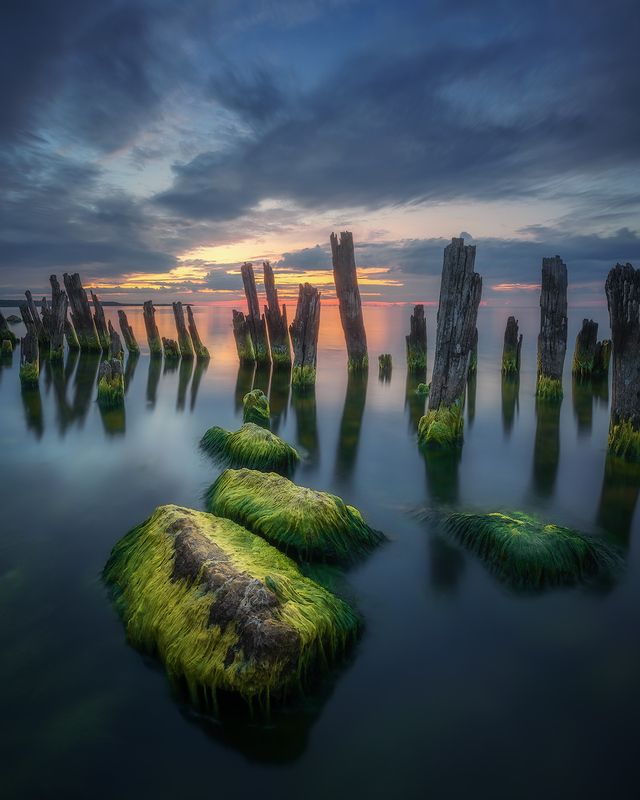 ленобласть, финский залив, закат, лето *** фото превью