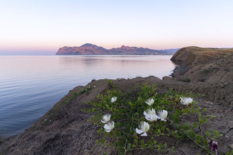 Утро в Тихой бухте фото превью