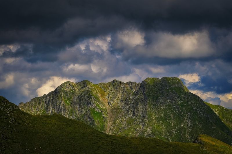 2025 фото превью