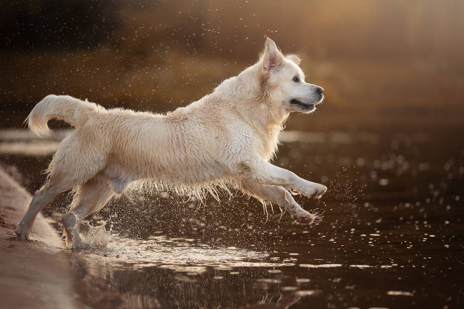 , Евгения Костусева