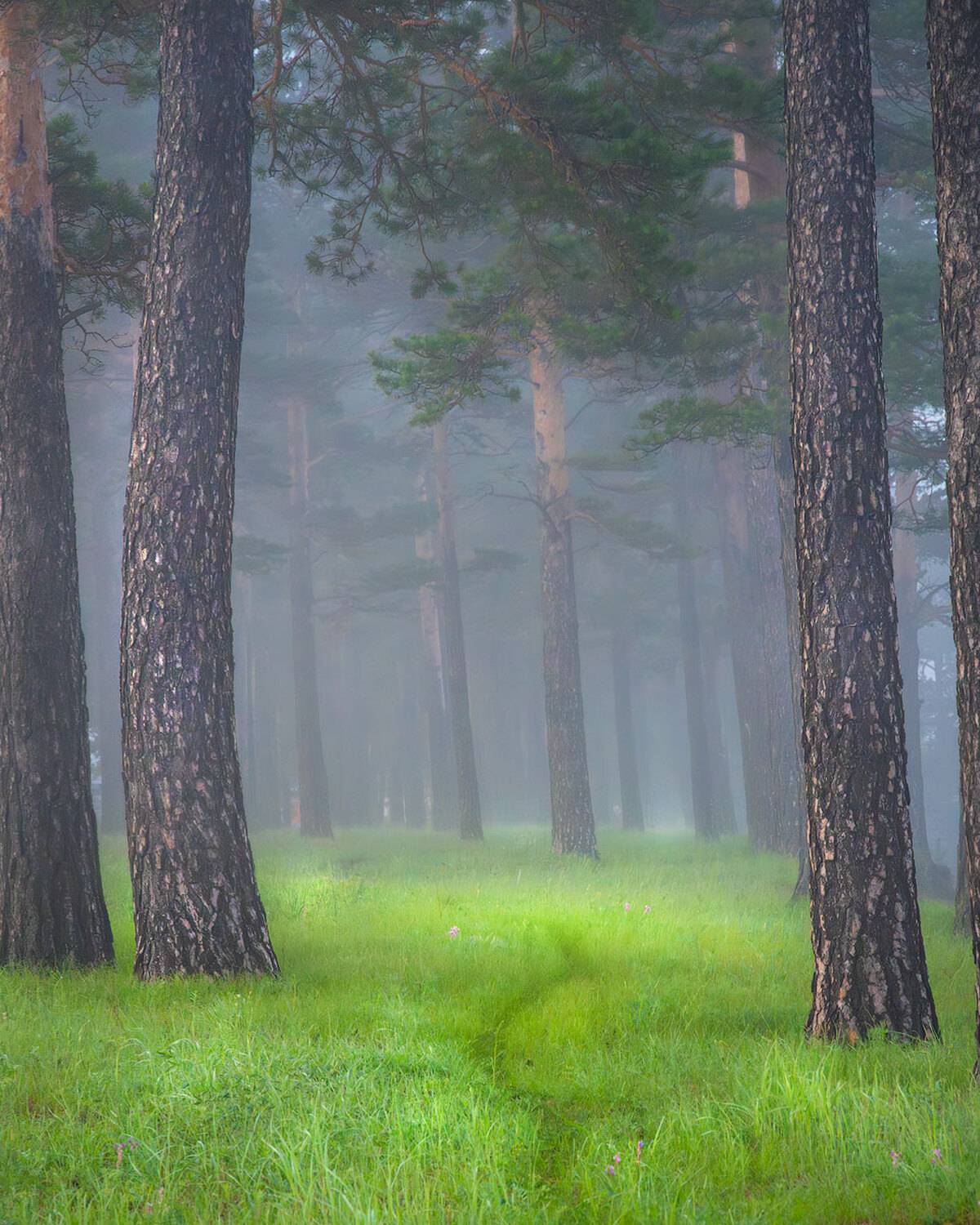 , Сергей Брагин