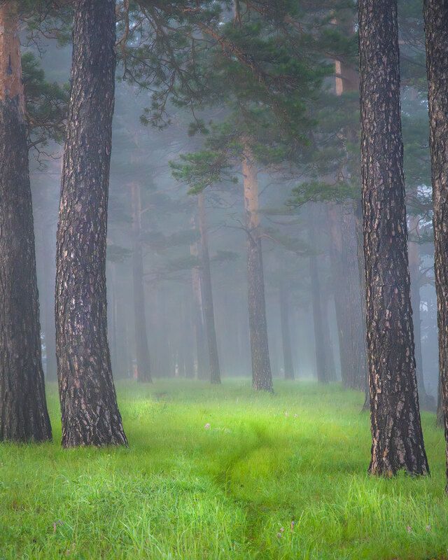 Утро фото превью