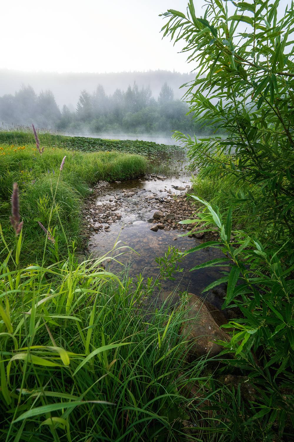 пермский край, пейзаж, рассвет, красота природы, поле, лето, река, природа, дикая природа, койва, лес, усть-койва, Кузнецов Кирилл