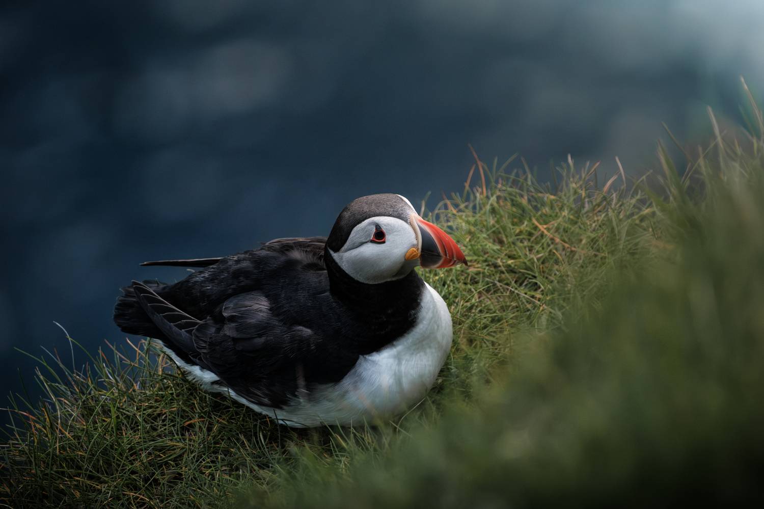 , Георгий Бычковский