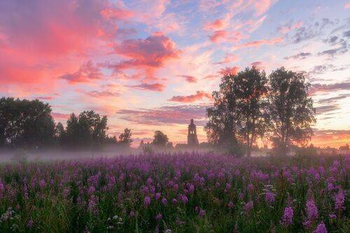 Утро с Иван-чаем