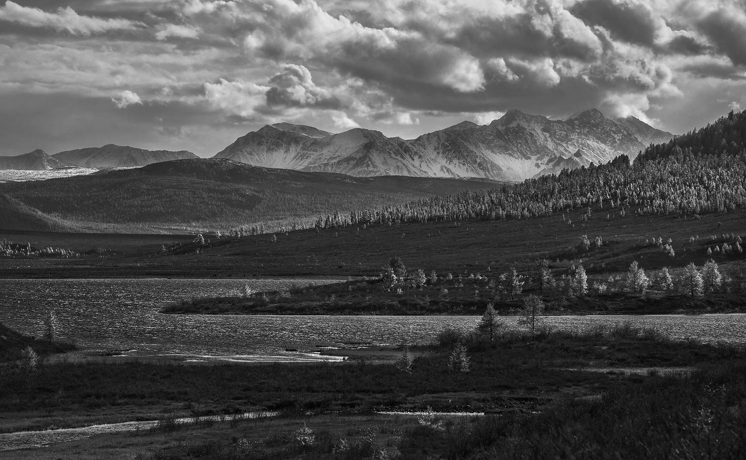 , Александр Попов