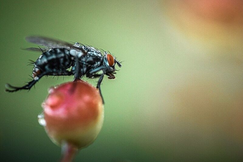 К взлету готова фото превью