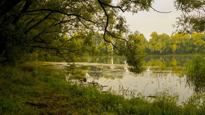 ****** фото превью