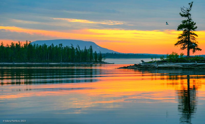 курейское водохранилище, курейка, плато путорана, светлогорск, ночь, полярный день,  вода, отражения, облака, солнце Про краски ночи полярного дня фото превью