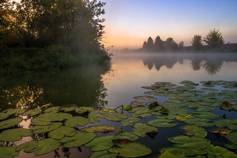 Сонное утро. фото превью