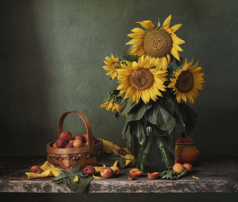 Солнышки-подсолнушки фото превью