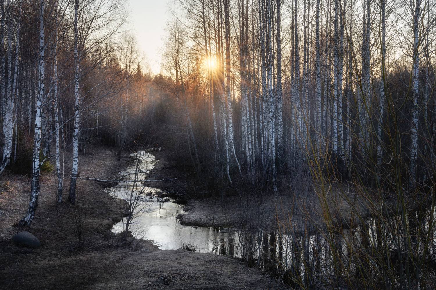 , Алексей Турчин