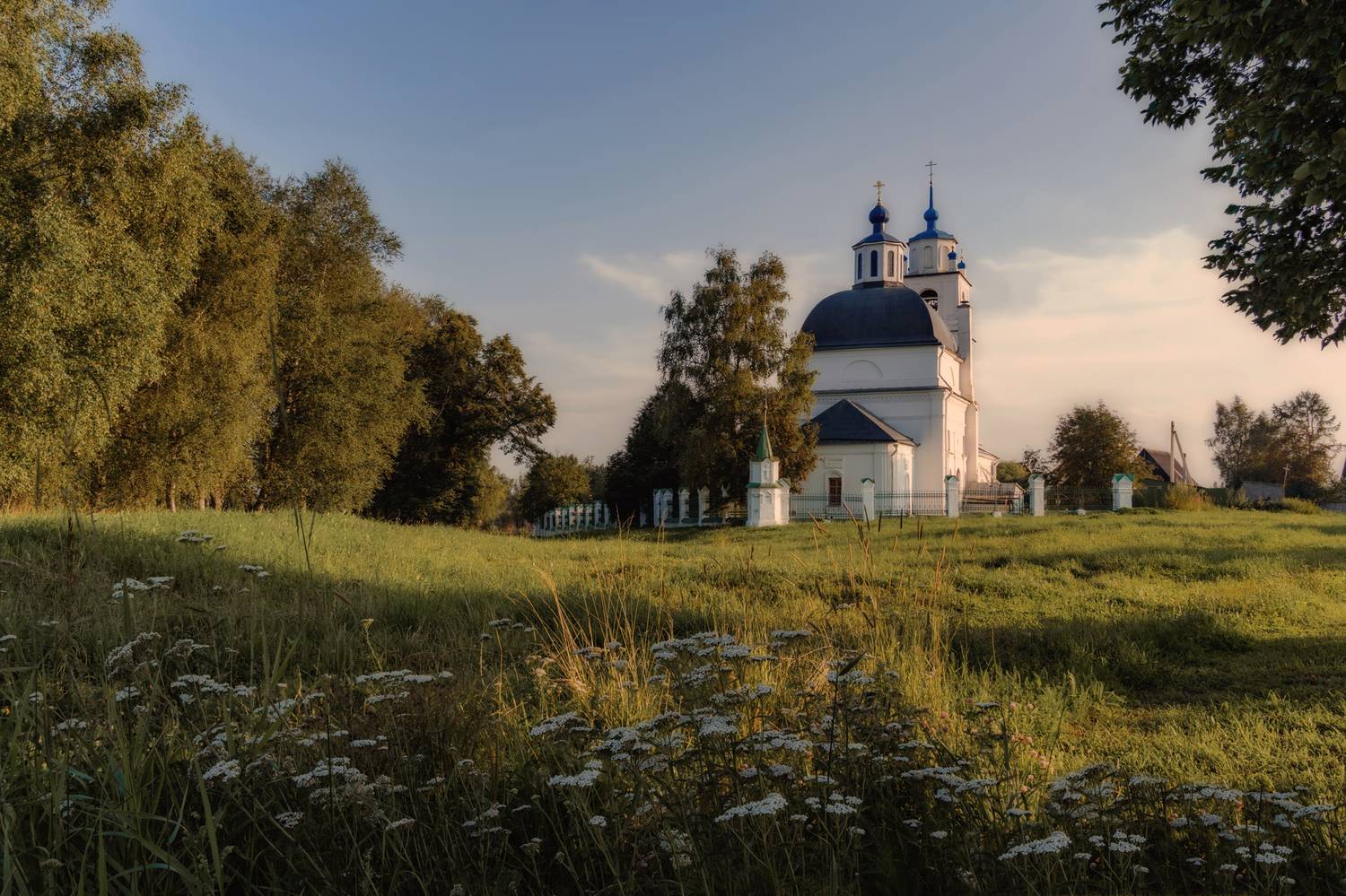 , Добродий Михаил