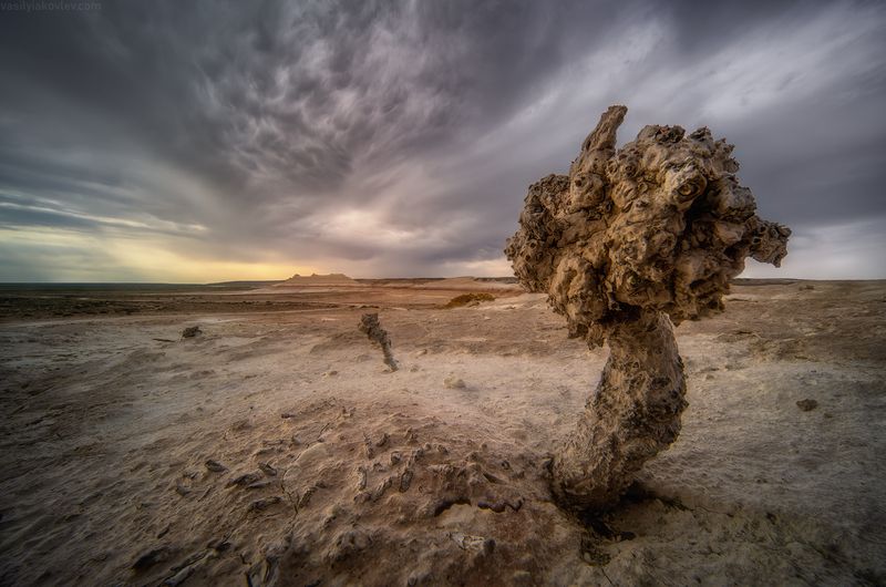 казахстан, фототур, яковлевфототур, мангистау, мангышлак, айракты, босжира, устюрт, карынжарык, тузбаир, торыш, туйесу, сенек Кызылкуп фото превью