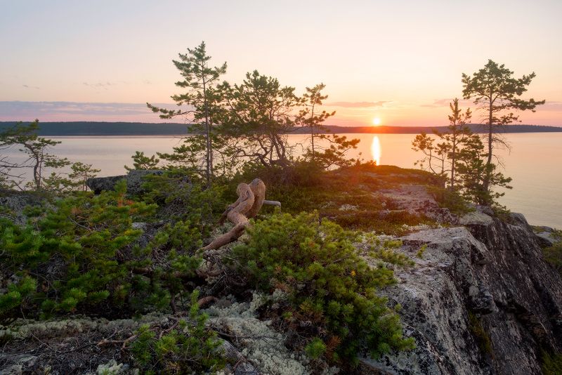 Белое море рассветная метаморфоза фото превью