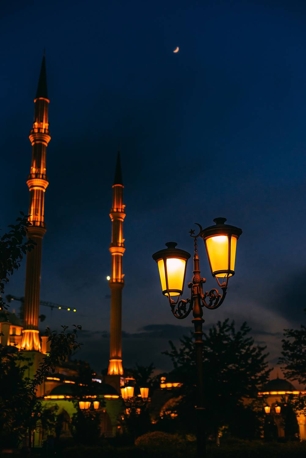 , Дарья Шевченко