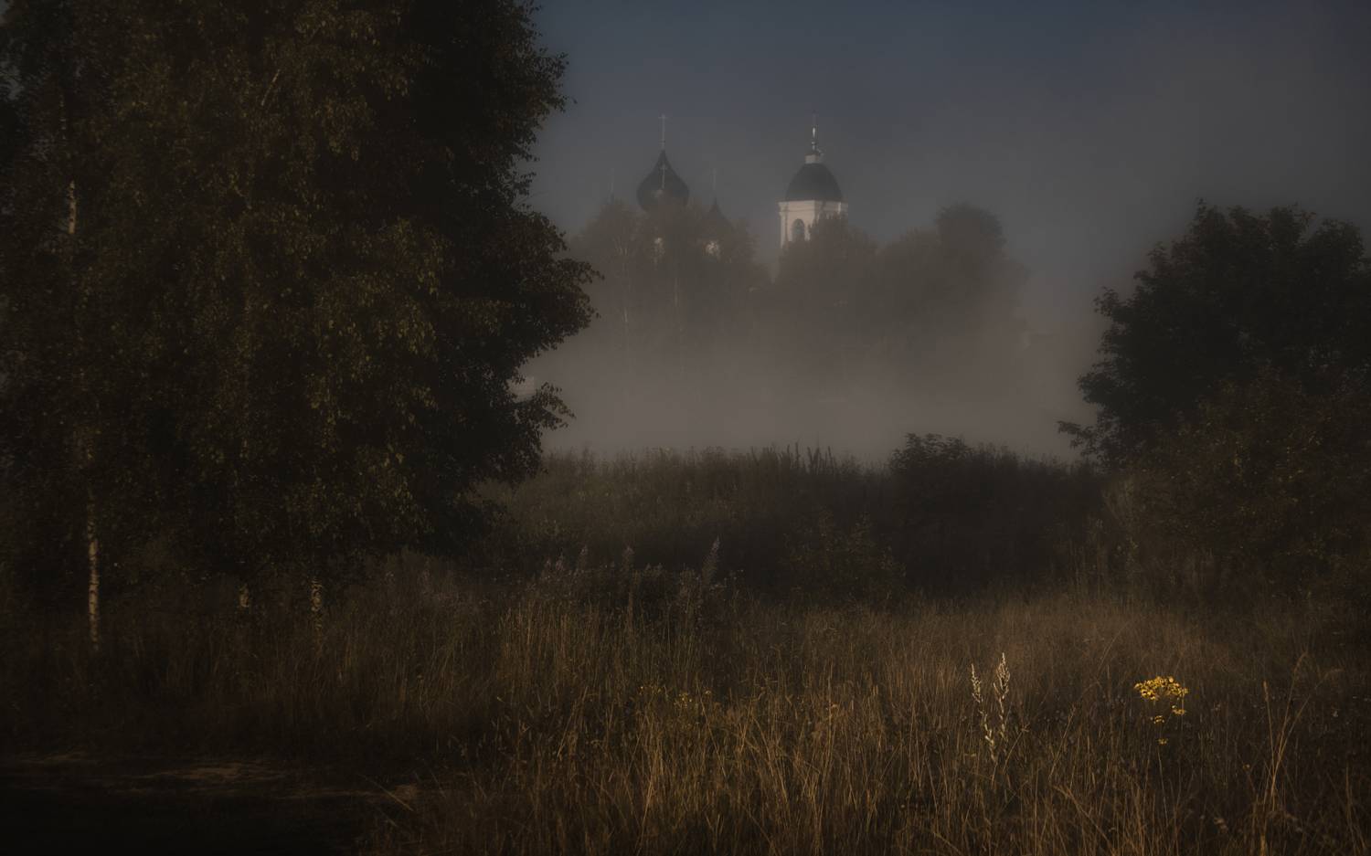 , Олег Дунаев