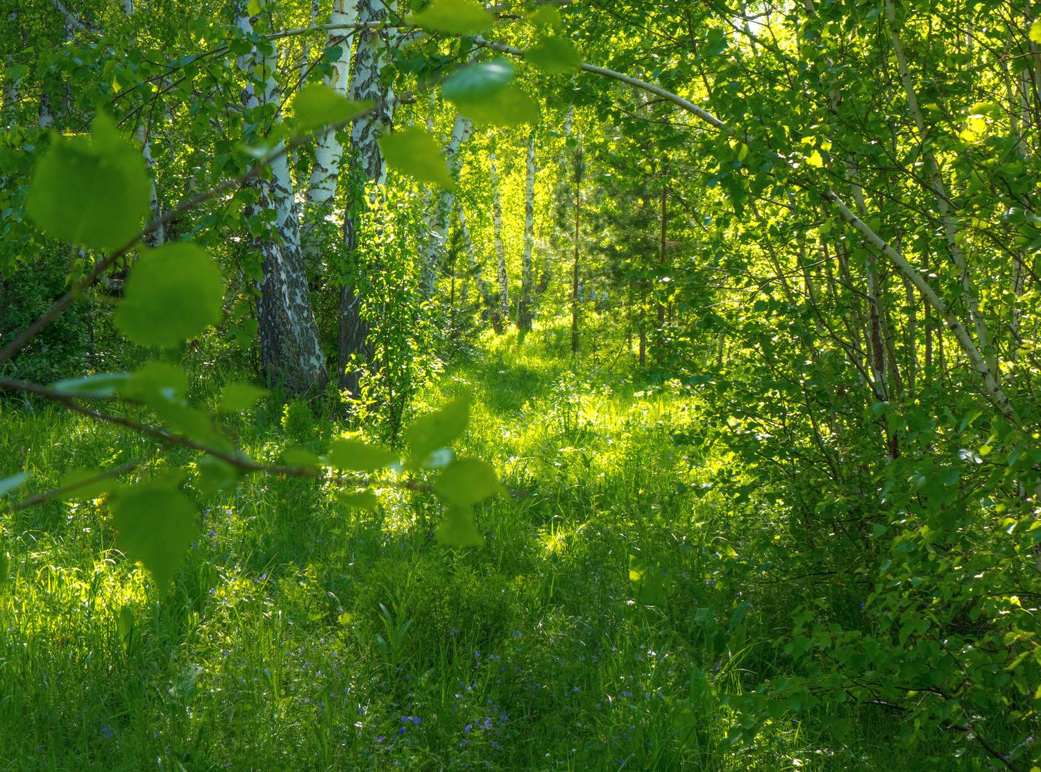 , Шустиков Дмитрий