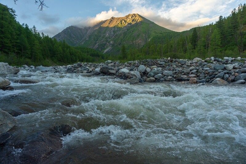 шумак ** * фото превью